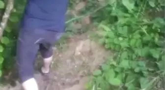 Sakarya'da Kaçak Su Hattı İle Bahçe Sulama Skandalı