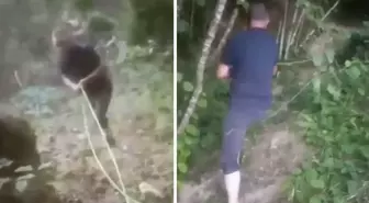 Bahçesini sulamak için içme suyu hattını deldi