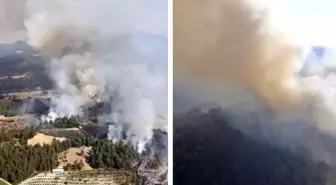 Balıkesir'de orman yangını çıktı