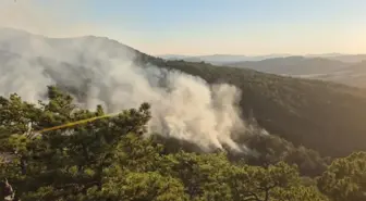 Bolu'dan korkutan orman yangını