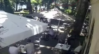 Gölcük'te Çınar Ağacından Düşen Dal Bir Can Aldı