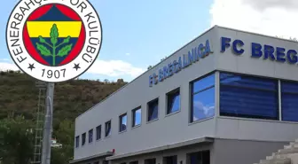 Fenerbahçe, Makedon ekibinin hisselerini satın aldı