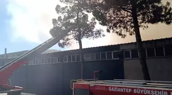 Gaziantep'te Halı Fabrikasında Yangın Çıktı