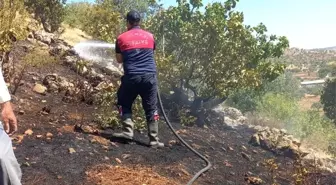 Gölbaşı'nda Orman Yangını Kontrol Altına Alındı