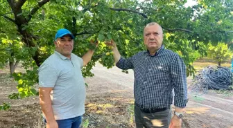 Don Olayında Parafin Mum ile 2 Milyon Liralık Kayısı Kurtarıldı