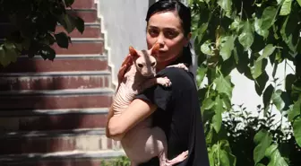 Kayıp Kedi Odin Bulundu, Sahibi Ödülü Verdi