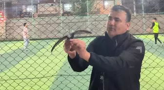 Kırşehir'de Yaralı Ebabil Kuşu Kurtarıldı