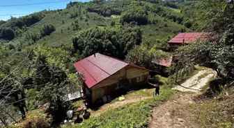 Ordu'ya şehit ateşi düştü