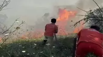 Geyve'de Ağaçlık Alanda Yangın Kontrol Altına Alındı