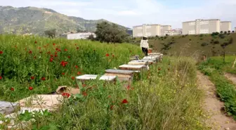 Sultanhisar'da Arıcılara Yangın Güvenliği Tedbirleri