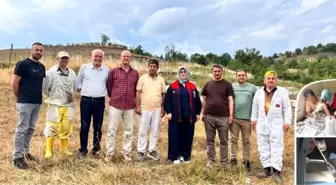 Yığılca Arı Islah Merkezi'nde Bilimsel Çalışmalar İlerliyor