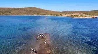 Cunda Adası'ndan Maden Adası'na Eşsiz Deniz Yürüyüşü Etkinliği