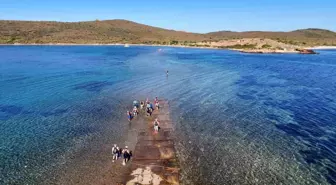 Cunda Adası'ndan Maden Adası'na Eşsiz Deniz Yürüyüşü Etkinliği
