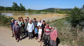 Bafra'da Su Taşkını Üreticileri Mağdur Etti