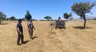 Beyşehir'de Yem Bitkileri Hasadı Devam Ediyor