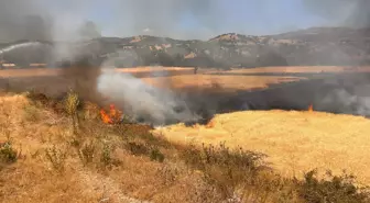 Kütahya'da Biçerdöver Kıvılcımı Yangına Neden Oldu