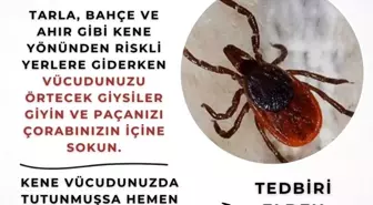 Eskişehir Valiliği'nden Kene Uyarısı!