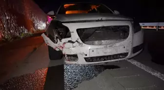Gümüşhane'de otomobil ayıya çarptı, ayı telef oldu