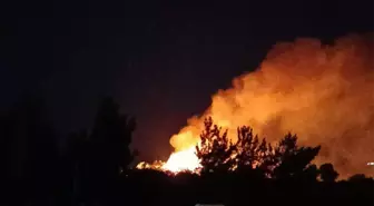Hatay'da Makilik Alanda Yangın Çıktı, Ekipler Müdahale Etti