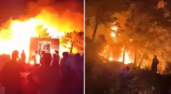 Hatay'da ormanlık alanda yangın çıktı