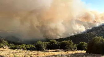 Manisa'da Orman Yangını Köyü Tehdit Ediyor