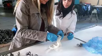 Dünyanın İlk Kadın Deri Profesörü: Prof. Dr. Elif Eser Eke Bayramoğlu