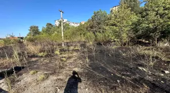 Karabük'te Çıkan Yangın İtfaiye Ekiplerinin Hızlı Müdahalesi ile Söndürüldü