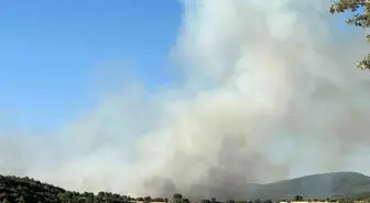 Uşak'ta İki Ayrı Noktada Yangın Çıktı