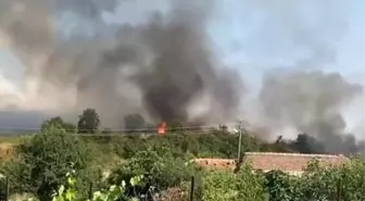 Edirne'de Tarladan Ormana Sıçrayan Yangın Korku Dolu Anlar Yaşattı