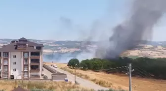Bursa'da Anız Yangını Kontrol Altına Alındı