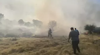 Ayvalık'ta 4 Farklı Noktada Yangın Çıktı