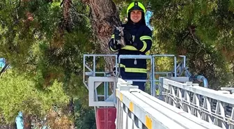 Balıkesir'de İtfaiye Ekipleri İki Kedi Kurtardı