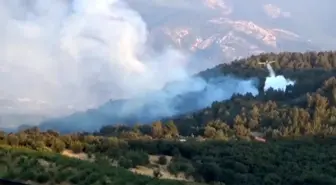 Çanakkale'nin Bayramiç İlçesinde Orman Yangını