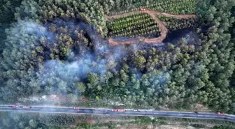 Çanakkale'de Orman Yangını Kontrol Altına Alındı