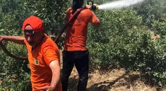 Bingöl'deki Orman Yangını Kontrol Altına Alındı