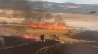 Çorum'da Buğday Tarlasında Yangın: 30 Dönüm Alan Kül Oldu