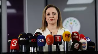 DEM Parti Sözcüsü Doğan: Silahların Tümüyle Devre Dışı Kalması İçin Hazırlık Var
