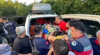 Sakarya'da Fındık Tarlasında Düşen İşçi Kurtarıldı