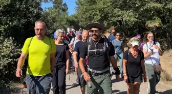 Girişlerin yasaklandığı ormanlık alanda tepki çeken etkinlik