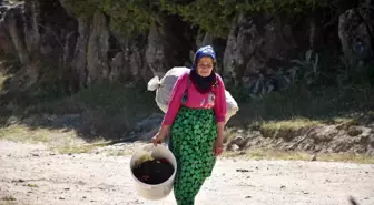 Sakarya'daki Sıcak Hava Dalgası Vatandaşları Yaylalara Yönlendiriyor