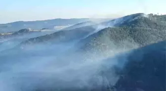 Sındırgı'da Orman Yangınına Hava Müdahalesi