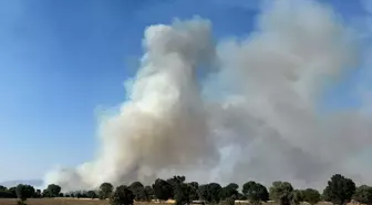 Uşak'ta Tarım Arazisindeki Yangın Ormana Sıçradı