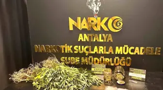 Antalya'da Uyuşturucu Operasyonlarında 32 Şüpheli Yakalandı