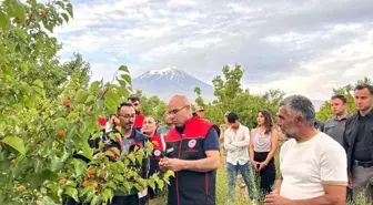 Ağrı Valisi Koç'tan Doğubayazıt'ta Turizm ve Eğitim İncelemeleri