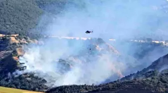 Amasya'da Tarlada Çıkan Yangın Ormana Sıçradı