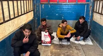 Amasya'da Tırda 4 Kaçak Göçmen Yakalandı