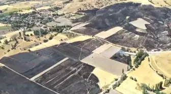 Amasya'da 500 Dönüm Tarım Arazisi Yanarak Zarar Gördü