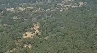Aydın Çine'de Orman Yangını