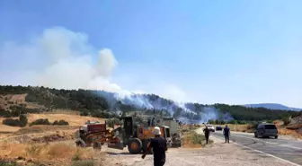 Bilecik'te Orman Yangını: Ekipler Mücadele Ediyor