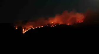 Çankırı'da Orman Yangını: Ekipler Mücadele Ediyor